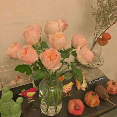 pg电子娱乐官网游戏app下载