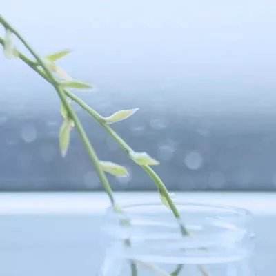 华会体育官方网站首页登录